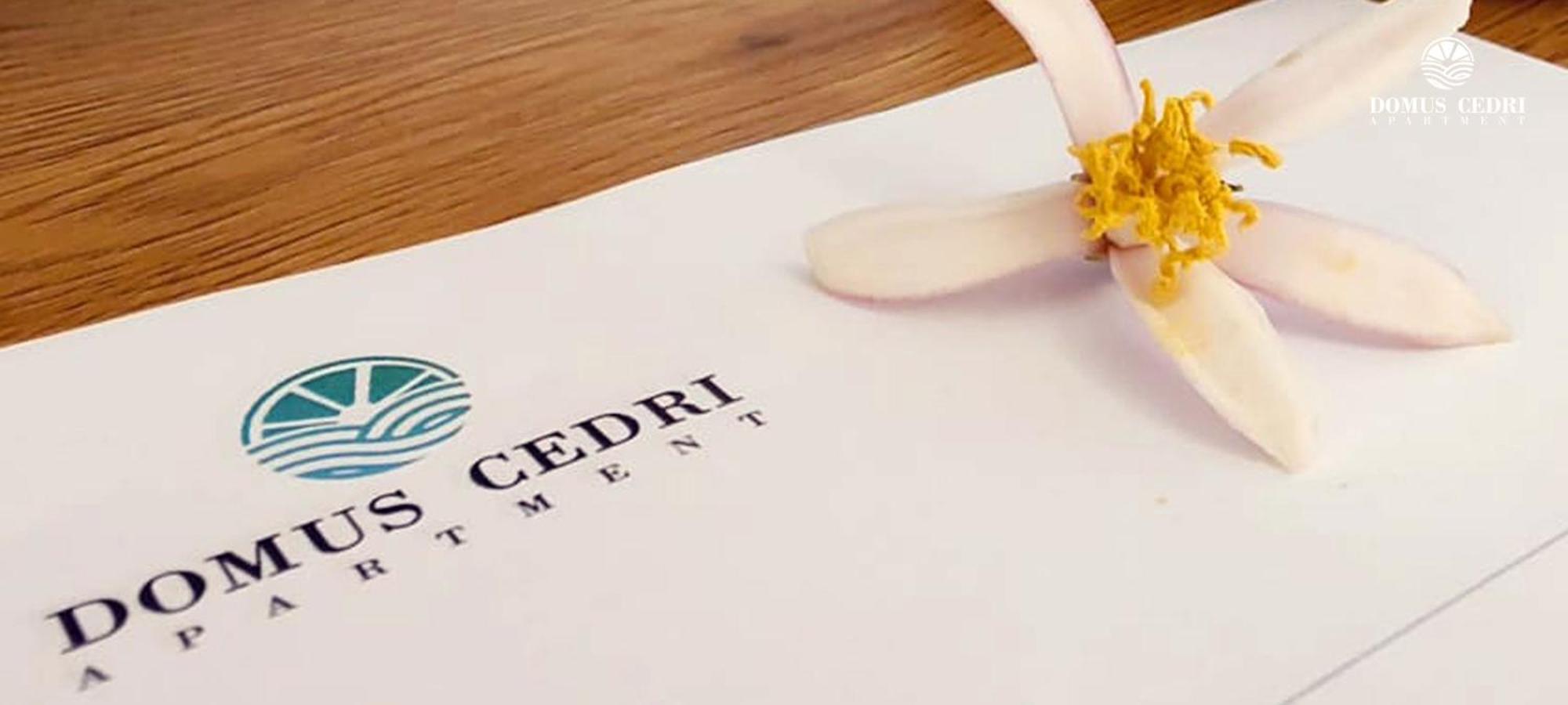 Domus Cedri Apartment Санта-Мария-дель-Чедро Экстерьер фото